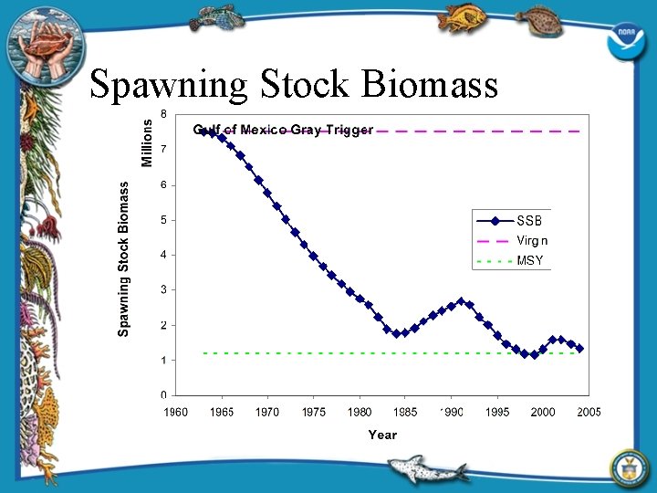 Spawning Stock Biomass 