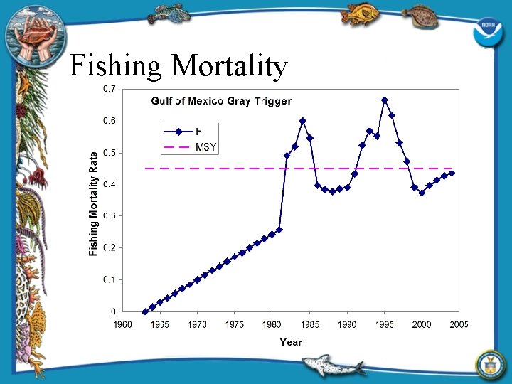 Fishing Mortality 