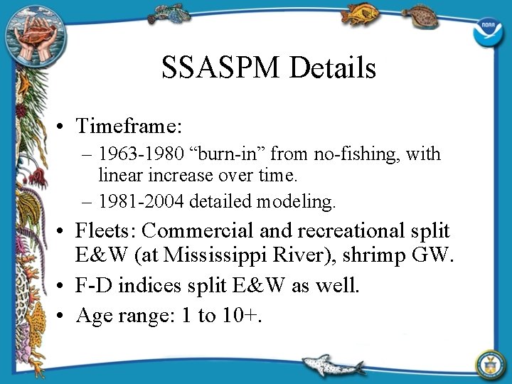 SSASPM Details • Timeframe: – 1963 -1980 “burn-in” from no-fishing, with linear increase over