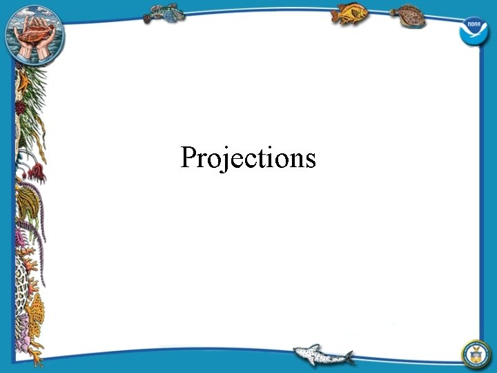 Projections 