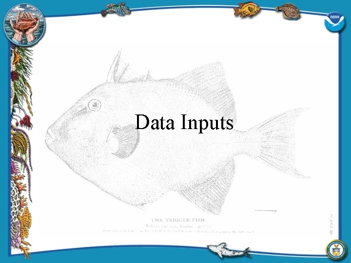 Data Inputs 
