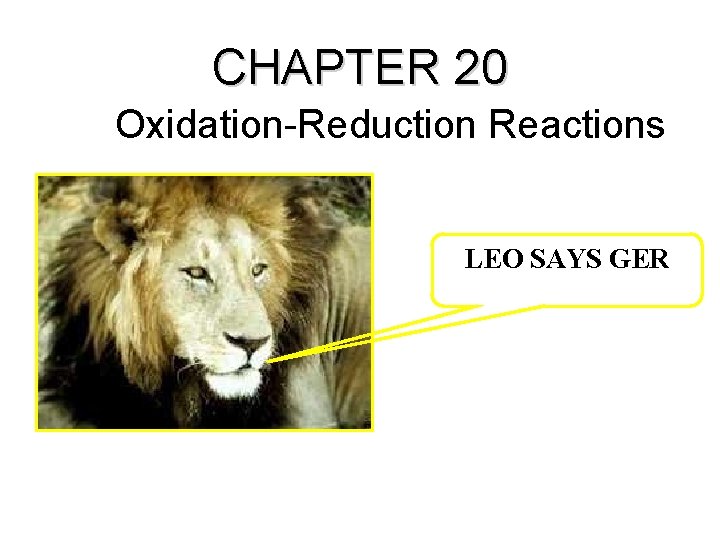 CHAPTER 20 Oxidation-Reduction Reactions LEO SAYS GER 