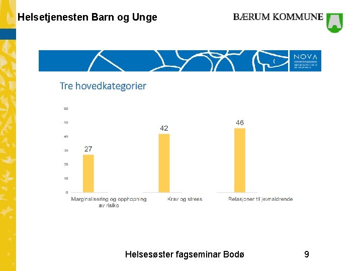 Helsetjenesten Barn og Unge Helsesøster fagseminar Bodø 9 