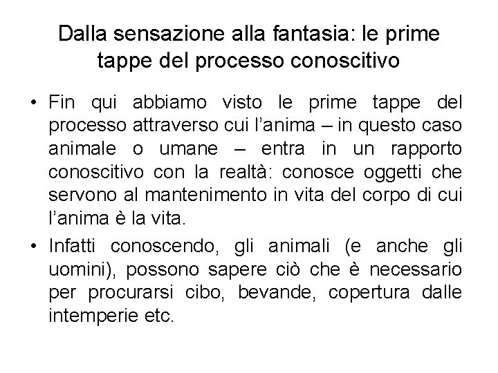 Dalla sensazione alla fantasia: le prime tappe del processo conoscitivo • Fin qui abbiamo