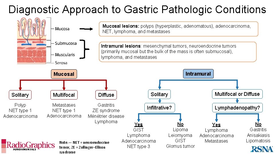 Diagnostic Approach to Gastric Pathologic Conditions Mucosal lesions: polyps (hyperplastic, adenomatous), adenocarcinoma, NET, lymphoma,