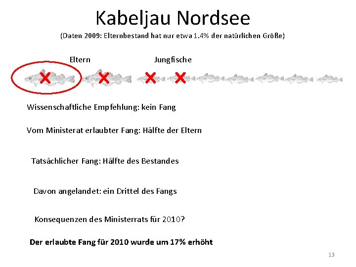 Kabeljau Nordsee (Daten 2009: Elternbestand hat nur etwa 1. 4% der natürlichen Größe) Eltern