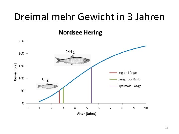 Dreimal mehr Gewicht in 3 Jahren 17 