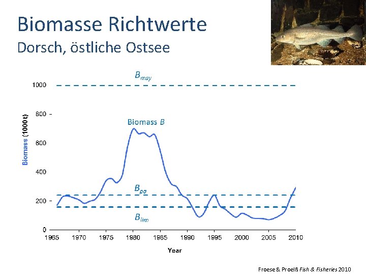 Biomasse Richtwerte Dorsch, östliche Ostsee Froese & Proelß Fish & Fisheries 2010 