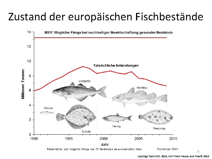 Zustand der europäischen Fischbestände 8 Landings from ICES 2010, MSY from Froese and Proelß