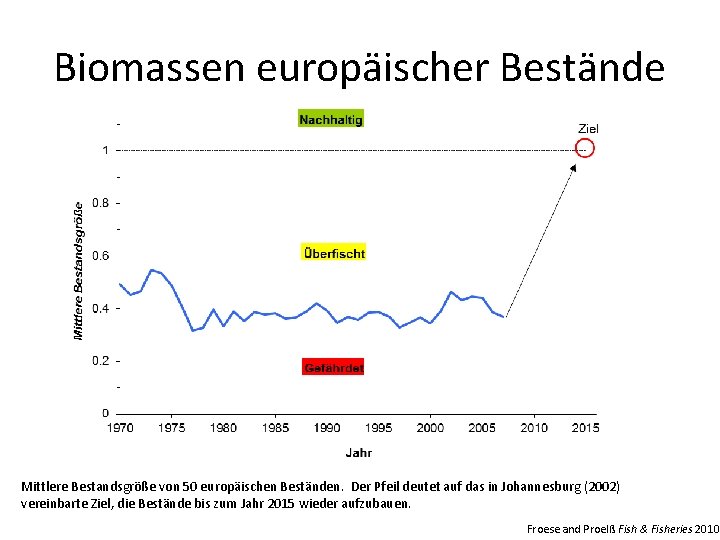 Biomassen europäischer Bestände Mittlere Bestandsgröße von 50 europäischen Beständen. Der Pfeil deutet auf das