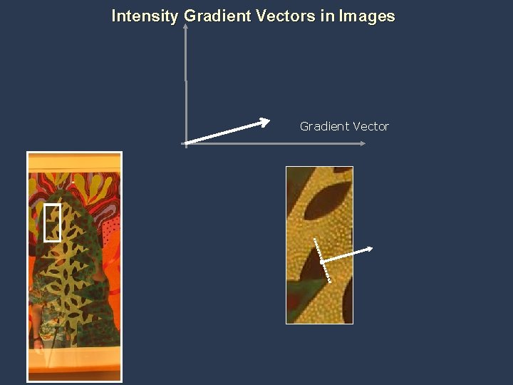 Intensity Gradient Vectors in Images Gradient Vector Ramesh Raskar, Comp. Photo Class Northeastern, Fall