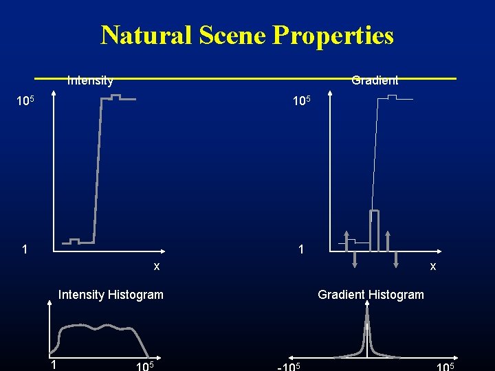 Natural Scene Properties Intensity Gradient 105 1 1 x x Intensity Histogram 1 5