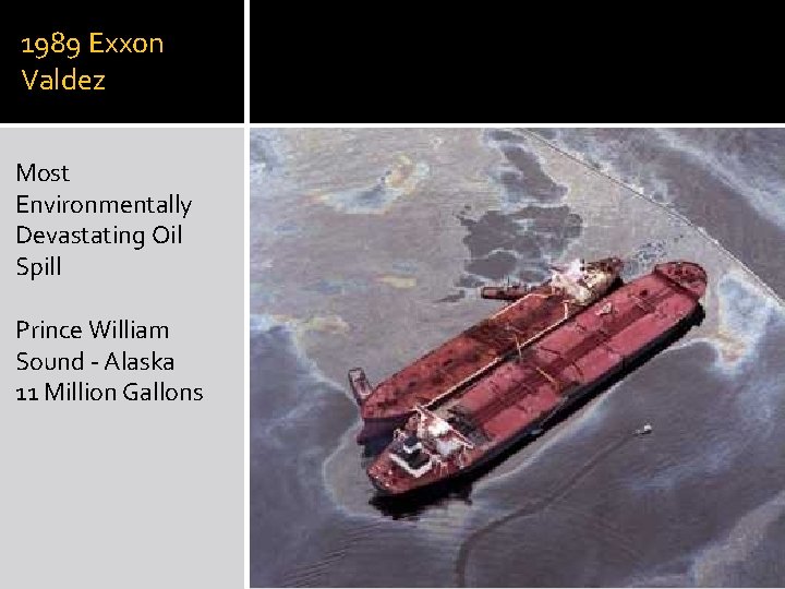 1989 Exxon Valdez Most Environmentally Devastating Oil Spill Prince William Sound - Alaska 11