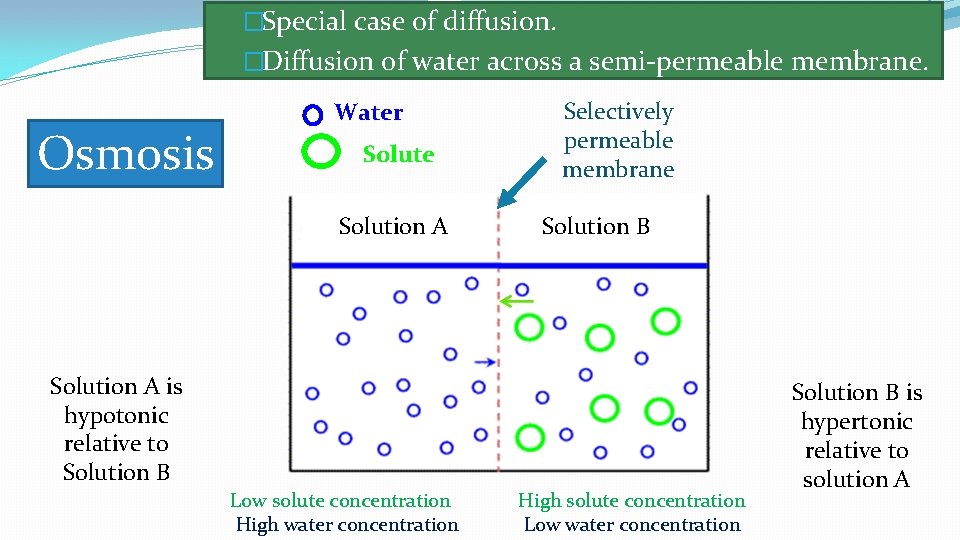 �Special case of diffusion. �Diffusion of water across a semi-permeable membrane. Osmosis Water Solute