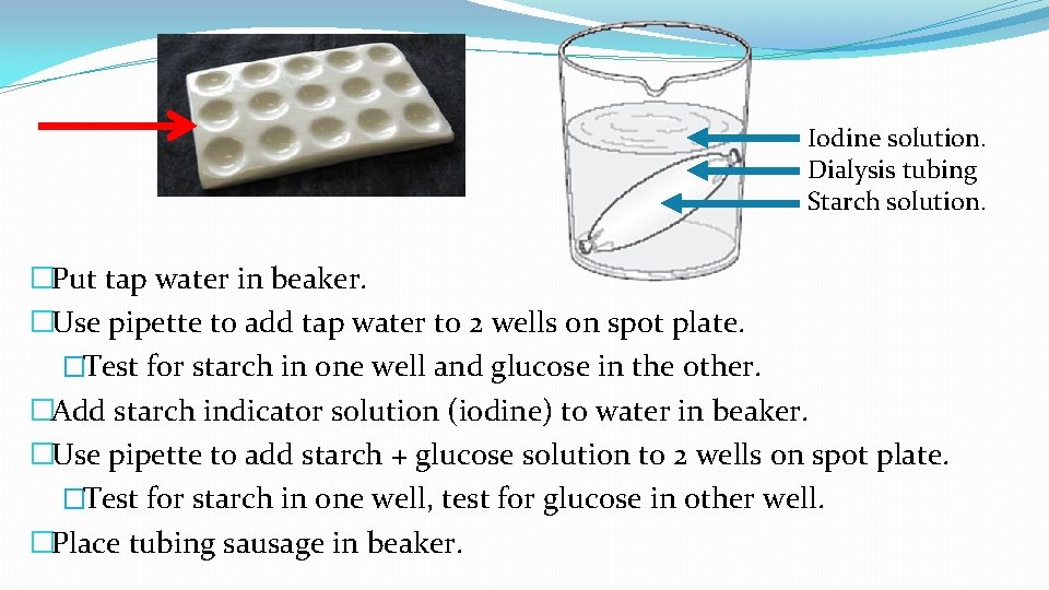 Iodine solution. Dialysis tubing Starch solution. �Put tap water in beaker. �Use pipette to