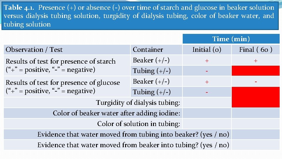 Table 4. 1. Presence (+) or absence (-) over time of starch and glucose