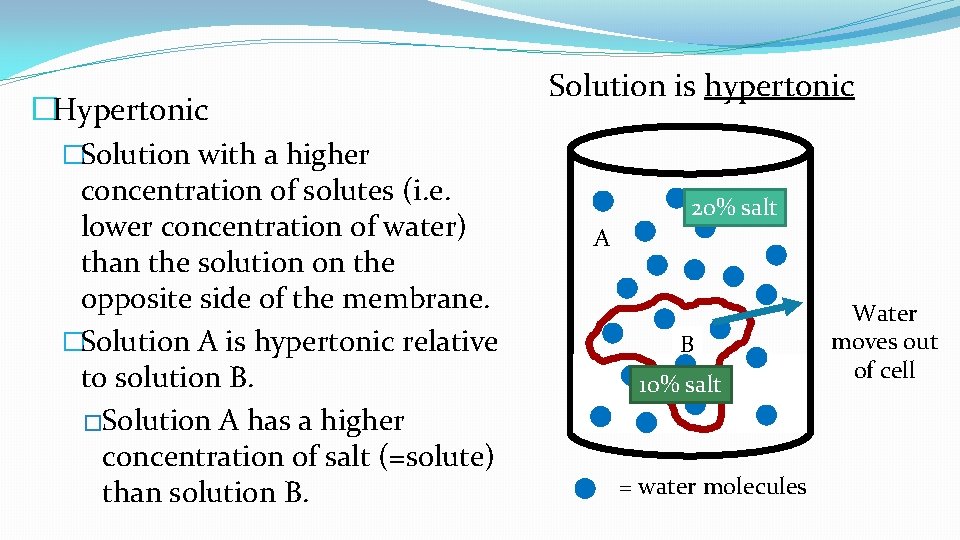 �Hypertonic �Solution with a higher concentration of solutes (i. e. lower concentration of water)