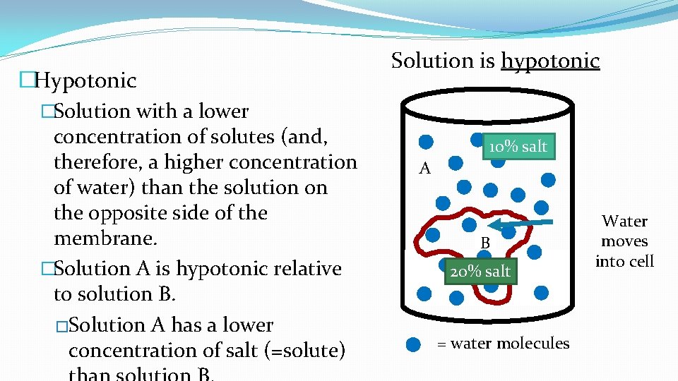 �Hypotonic �Solution with a lower concentration of solutes (and, therefore, a higher concentration of