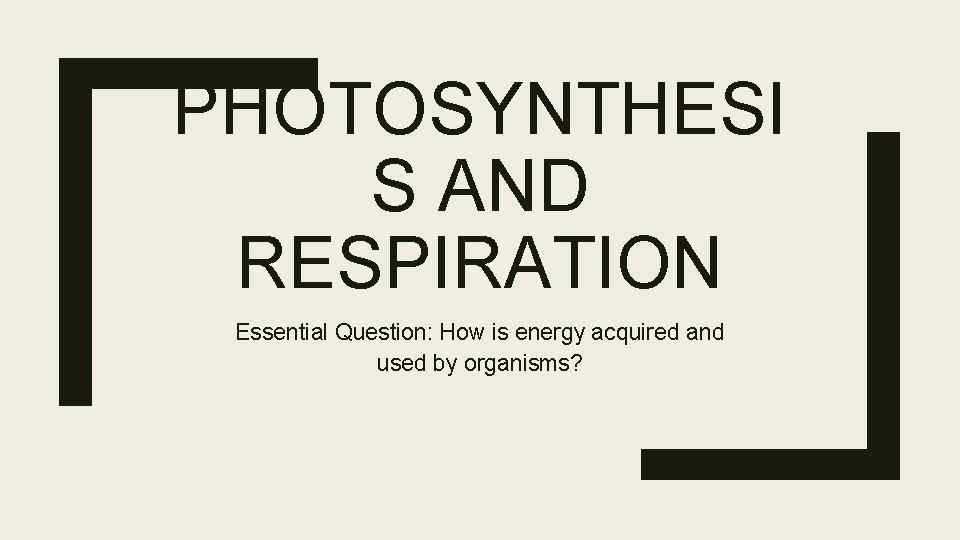 PHOTOSYNTHESI S AND RESPIRATION Essential Question: How is energy acquired and used by organisms?
