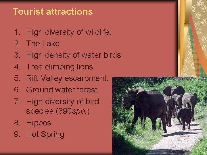 Tourist attractions 1. 2. 3. 4. 5. 6. 7. High diversity of wildlife. The