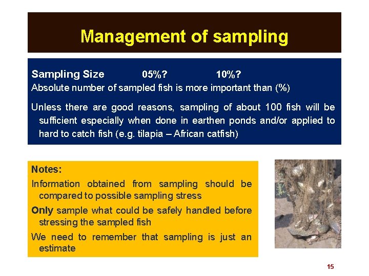 Management of sampling Size 05%? 10%? Absolute number of sampled fish is more important