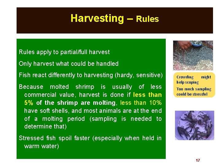 Harvesting – Rules apply to partial/full harvest Only harvest what could be handled Fish