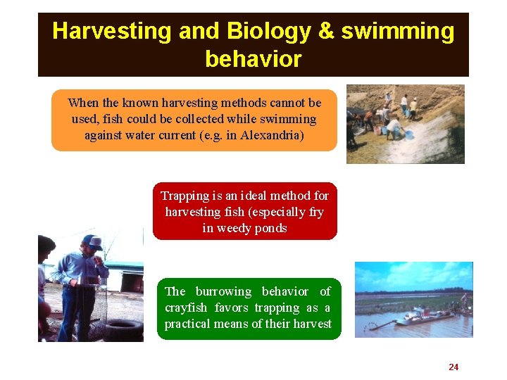Harvesting and Biology & swimming behavior When the known harvesting methods cannot be used,