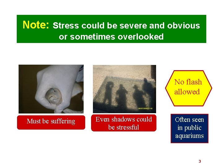 Note: Stress could be severe and obvious or sometimes overlooked No flash allowed Must