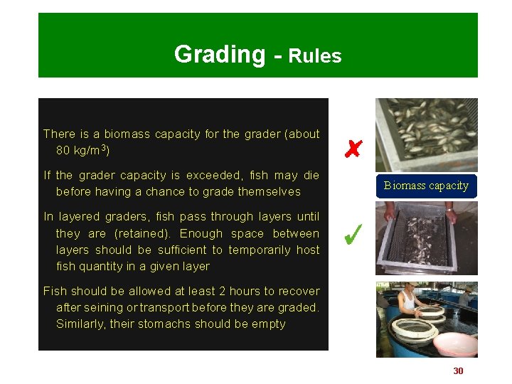 Grading - Rules There is a biomass capacity for the grader (about 80 kg/m