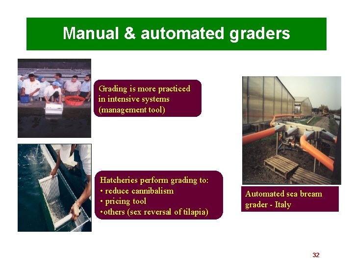 Manual & automated graders Grading is more practiced in intensive systems (management tool) Hatcheries