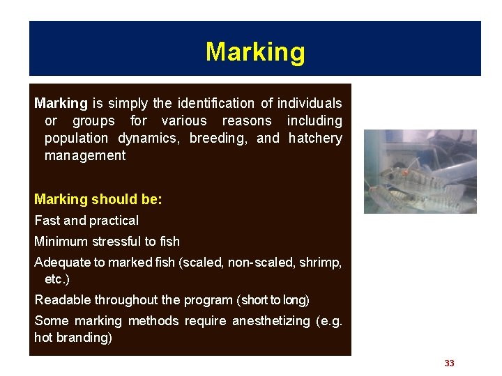 Marking is simply the identification of individuals or groups for various reasons including population