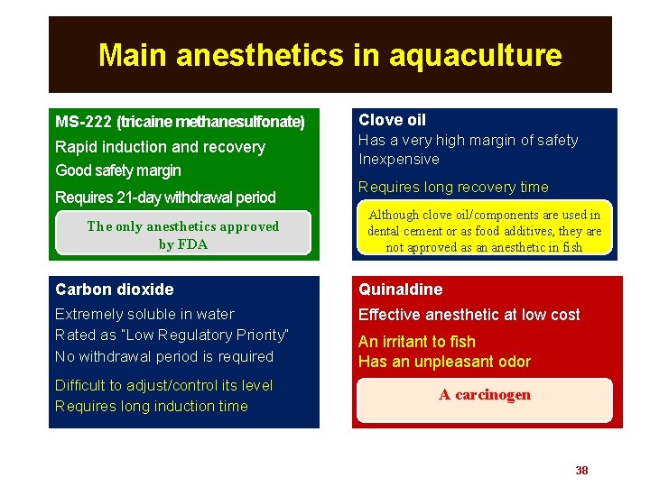 Main anesthetics in aquaculture MS-222 (tricaine methanesulfonate) Clove oil Rapid induction and recovery Good