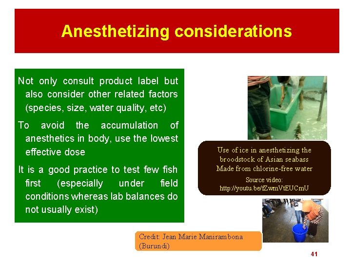 Anesthetizing considerations Not only consult product label but also consider other related factors (species,