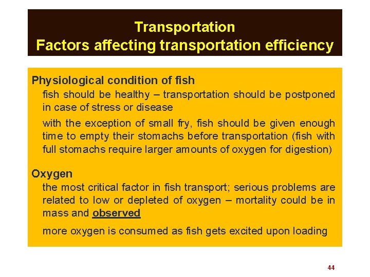 Transportation Factors affecting transportation efficiency Physiological condition of fish should be healthy – transportation
