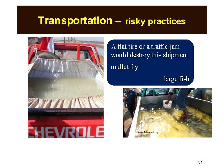 Transportation – risky practices A flat tire or a traffic jam would destroy this