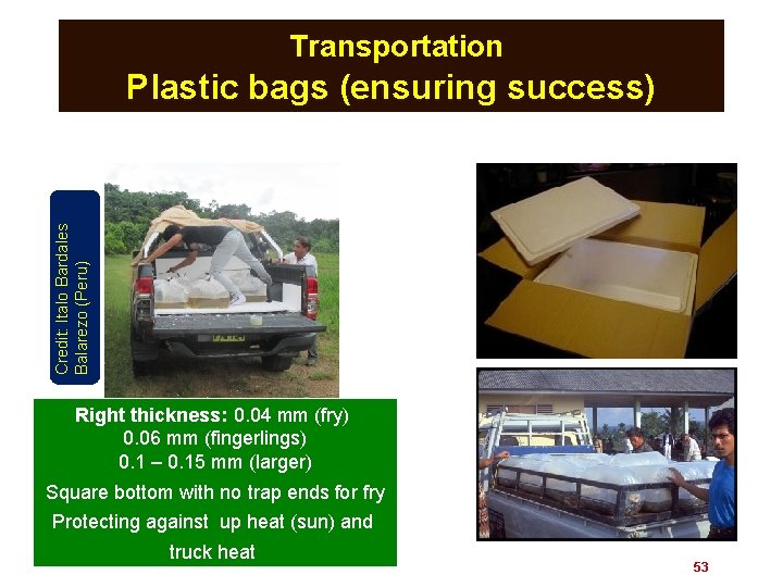 Transportation Credit: Italo Bardales Balarezo (Peru) Plastic bags (ensuring success) Right thickness: 0. 04