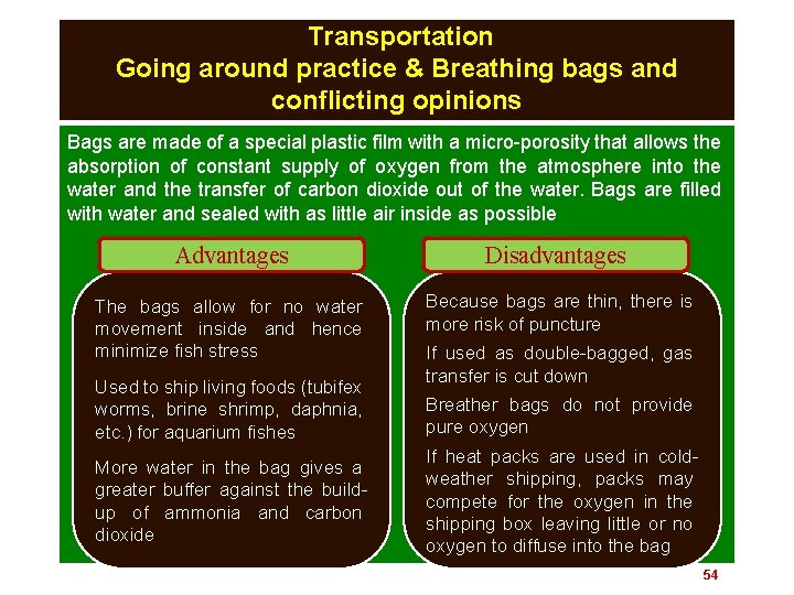 Transportation Going around practice & Breathing bags and conflicting opinions Bags are made of