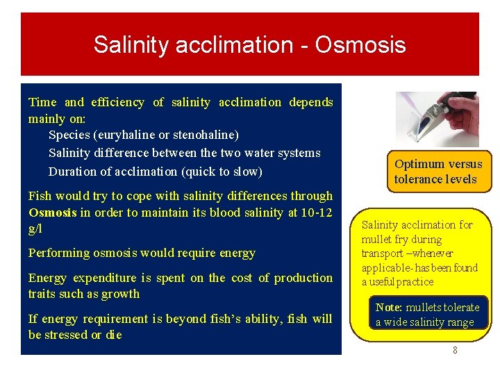 Salinity acclimation - Osmosis Time and efficiency of salinity acclimation depends mainly on: Species