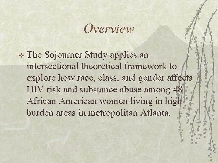 The Sojourner Study The Role of Black Feminist