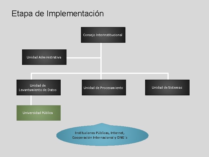 Etapa de Implementación Consejo Interinstitucional Unidad Administrativa Unidad de Levantamiento de Datos Unidad de