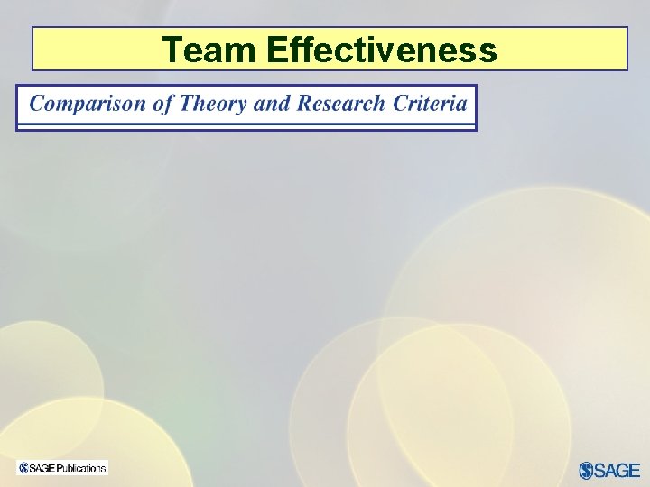 Team Effectiveness 