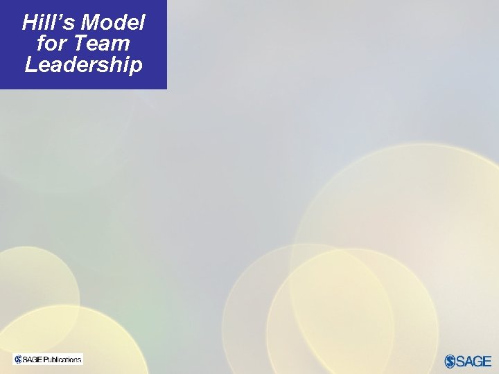 Hill’s Model for Team Leadership 