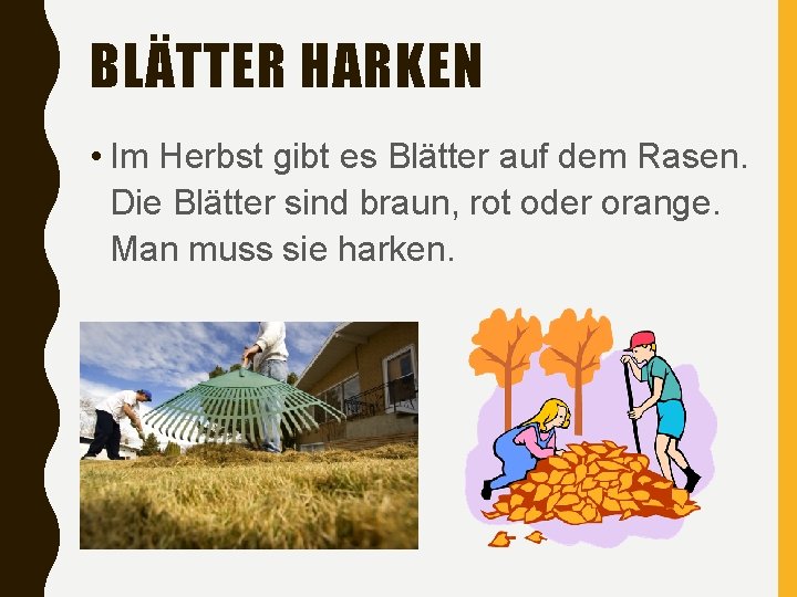 BLÄTTER HARKEN • Im Herbst gibt es Blätter auf dem Rasen. Die Blätter sind