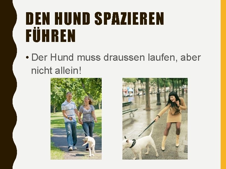 DEN HUND SPAZIEREN FÜHREN • Der Hund muss draussen laufen, aber nicht allein! 