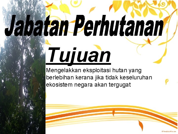 Tujuan Mengelakkan eksploitasi hutan yang berlebihan kerana jika tidak keseluruhan ekosistem negara akan tergugat