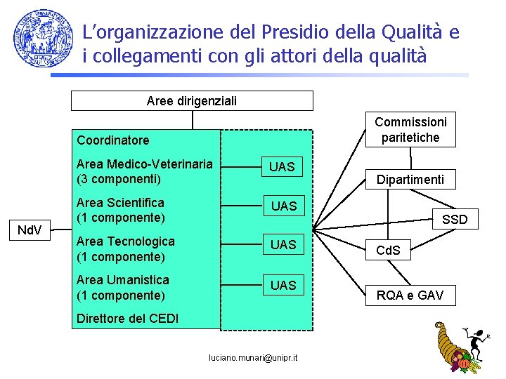 L’organizzazione del Presidio della Qualità e i collegamenti con gli attori della qualità Aree