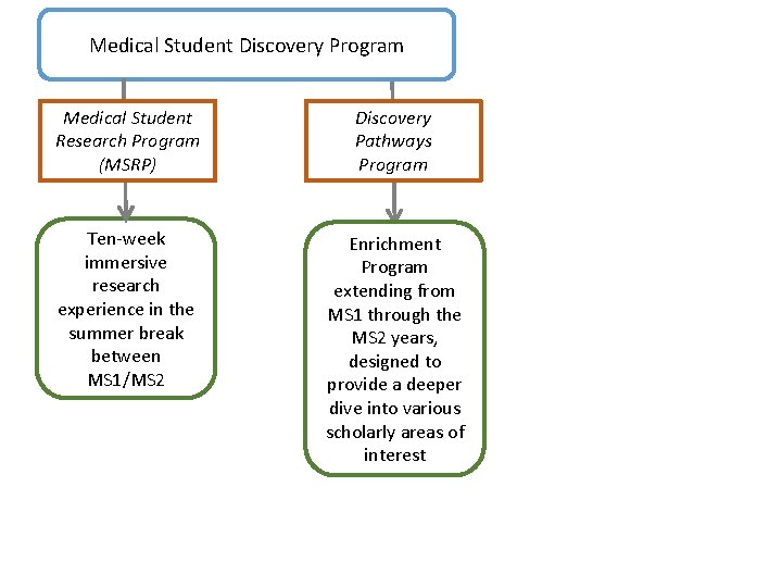 Medical Student Discovery Program Medical Student Research Program (MSRP) Discovery Pathways Program Ten-week immersive
