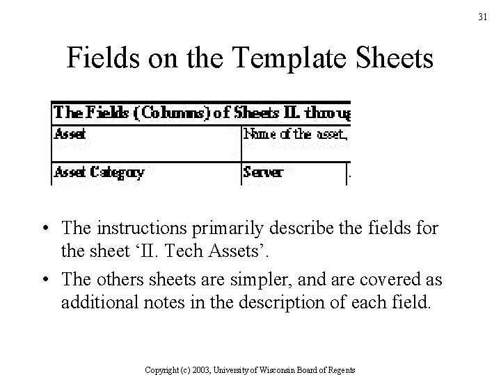 31 Fields on the Template Sheets • The instructions primarily describe the fields for