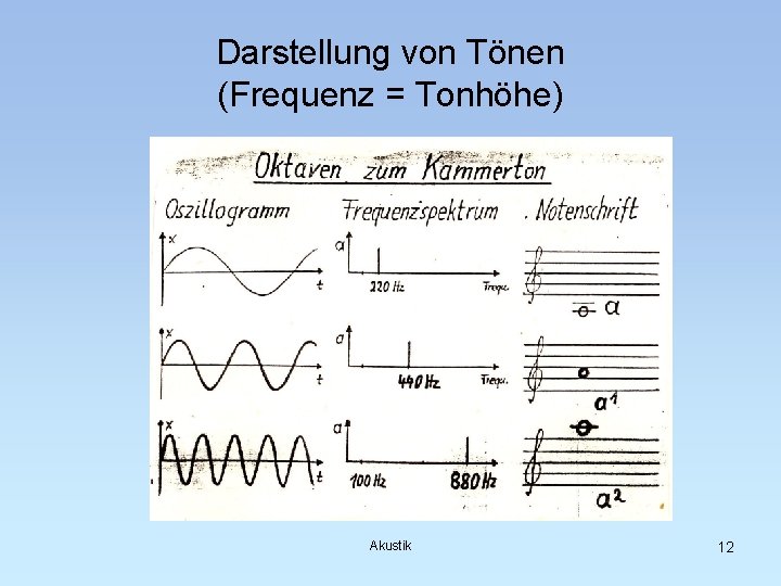Darstellung von Tönen (Frequenz = Tonhöhe) Akustik 12 