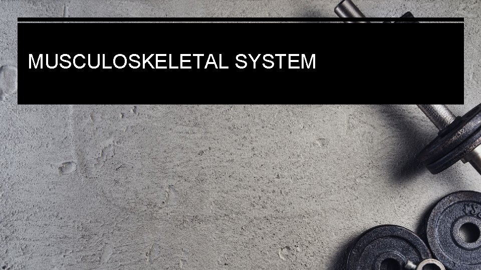 MUSCULOSKELETAL SYSTEM 